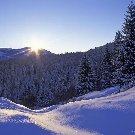 Gasthof Bramböck 3*