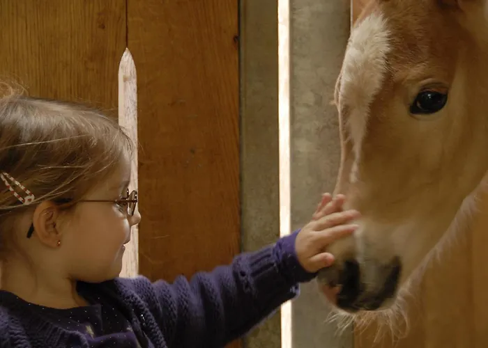 Gaestehaus Bramboeck